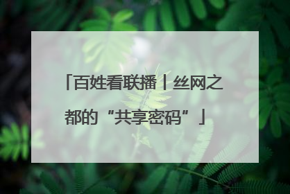 百姓看联播丨丝网之都的“共享密码”