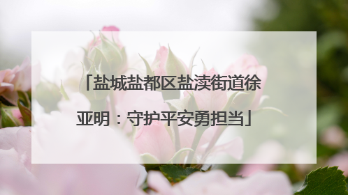 盐城盐都区盐渎街道徐亚明：守护平安勇担当