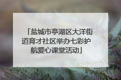 盐城市亭湖区大洋街道育才社区举办七彩护航爱心课堂活动