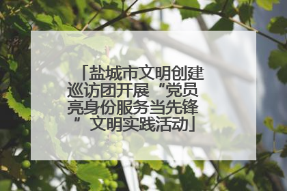 盐城市文明创建巡访团开展“党员亮身份服务当先锋”文明实践活动