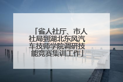 省人社厅、市人社局到湖北东风汽车技师学院调研技能竞赛集训工作