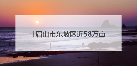 眉山市东坡区近58万亩水稻栽插面积超85%