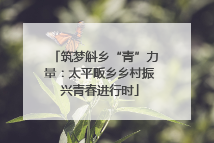 筑梦斛乡“青”力量：太平畈乡乡村振兴青春进行时