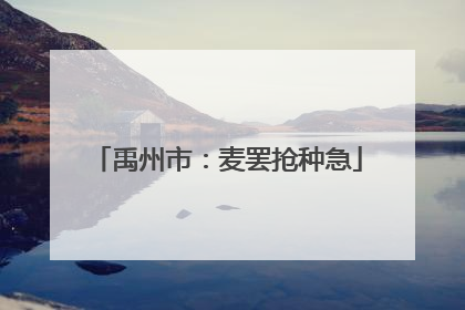 禹州市：麦罢抢种急