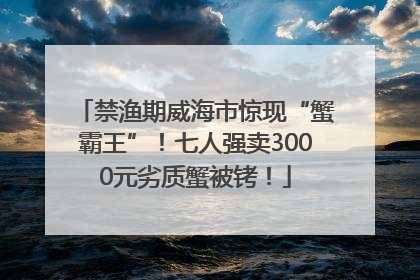 禁渔期威海市惊现“蟹霸王”！七人强卖3000元劣质蟹被铐！