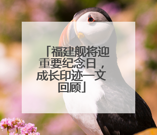 福建舰将迎重要纪念日，成长印迹一文回顾