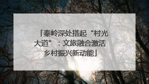 秦岭深处搭起“村光大道”：文旅融合激活乡村振兴新动能