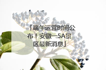 端午运营时间公布！安徽一5A景区最新消息