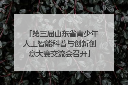 第三届山东省青少年人工智能科普与创新创意大赛交流会召开