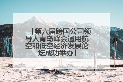 第六届跨国公司领导人青岛峰会通用航空和低空经济发展论坛成功举办