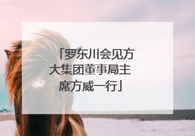 罗东川会见方大集团董事局主席方威一行