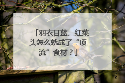 羽衣甘蓝、红菜头怎么就成了“顶流”食材？