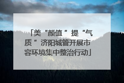 美“颜值 ”提“气质 ”济阳城管开展市容环境集中整治行动