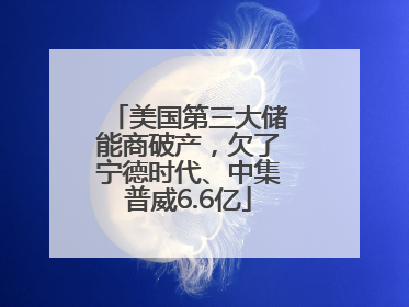 美国第三大储能商破产，欠了宁德时代、中集普威6.6亿