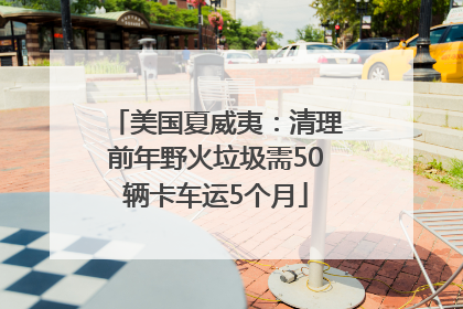 美国夏威夷：清理前年野火垃圾需50辆卡车运5个月
