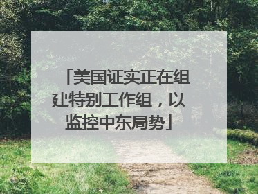 美国证实正在组建特别工作组，以监控中东局势