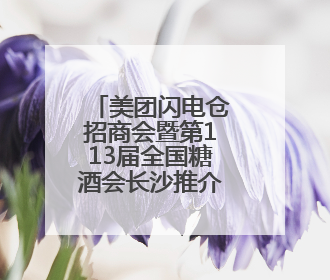 美团闪电仓招商会暨第113届全国糖酒会长沙推介会即将启幕