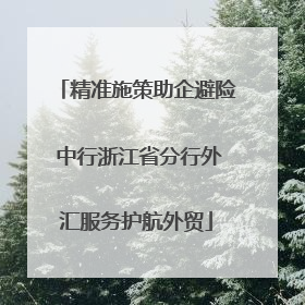 精准施策助企避险 中行浙江省分行外汇服务护航外贸