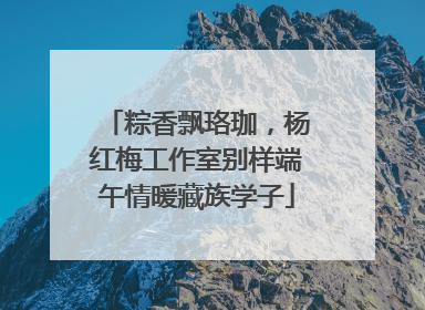 粽香飘珞珈，杨红梅工作室别样端午情暖藏族学子
