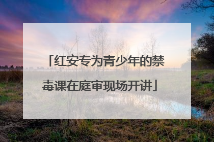 红安专为青少年的禁毒课在庭审现场开讲