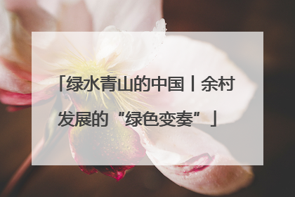 绿水青山的中国丨余村发展的“绿色变奏”