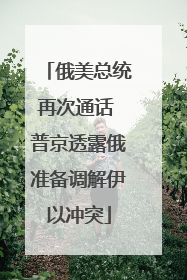 俄美总统再次通话 普京透露俄准备调解伊以冲突