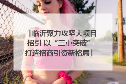 临沂聚力攻坚大项目招引 以“三重突破”打造招商引资新格局