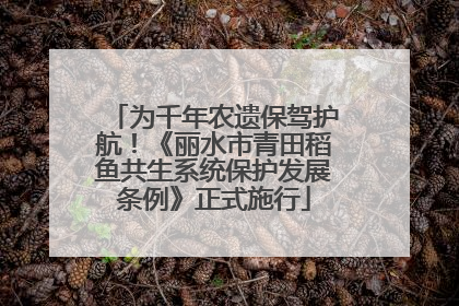 为千年农遗保驾护航！《丽水市青田稻鱼共生系统保护发展条例》正式施行