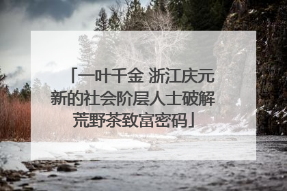 一叶千金 浙江庆元新的社会阶层人士破解荒野茶致富密码