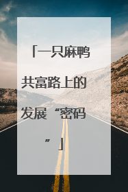 一只麻鸭共富路上的发展“密码”