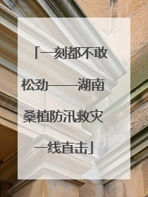一刻都不敢松劲——湖南桑植防汛救灾一线直击