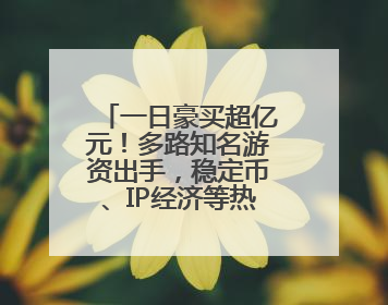 一日豪买超亿元！多路知名游资出手，稳定币、IP经济等热点受追捧