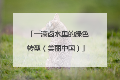一滴卤水里的绿色转型（美丽中国）