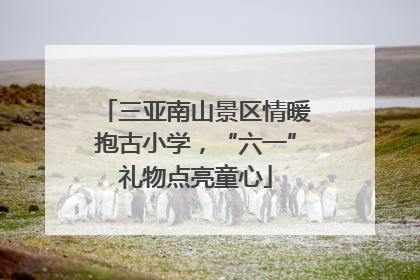 三亚南山景区情暖抱古小学，“六一”礼物点亮童心