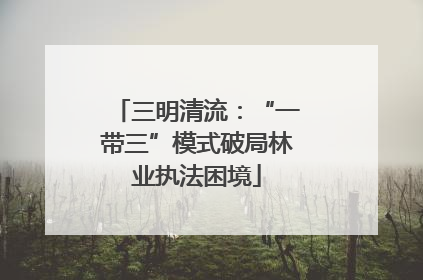 三明清流：“一带三”模式破局林业执法困境