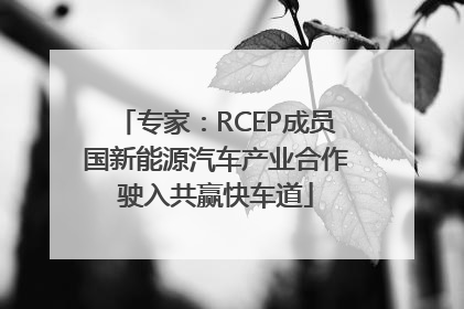 专家：RCEP成员国新能源汽车产业合作驶入共赢快车道