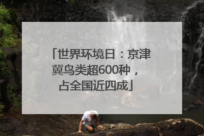 世界环境日：京津冀鸟类超600种，占全国近四成