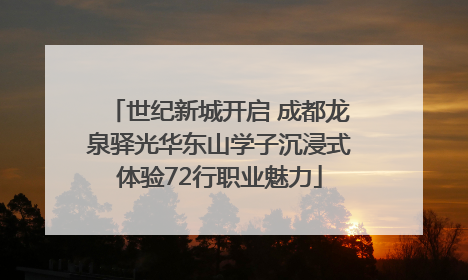 世纪新城开启 成都龙泉驿光华东山学子沉浸式体验72行职业魅力