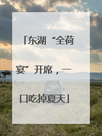 东湖“全荷宴”开席，一口吃掉夏天