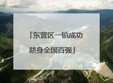 东营区一镇成功跻身全国百强