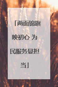 两面锦旗映初心 为民服务显担当