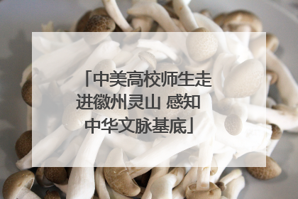 中美高校师生走进徽州灵山 感知中华文脉基底