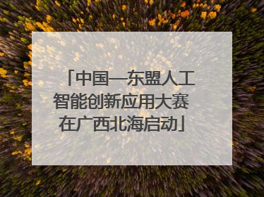 中国—东盟人工智能创新应用大赛在广西北海启动