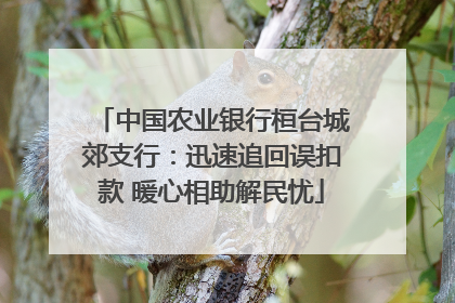 中国农业银行桓台城郊支行：迅速追回误扣款 暖心相助解民忧