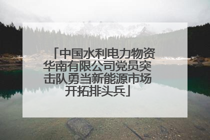 中国水利电力物资华南有限公司党员突击队勇当新能源市场开拓排头兵