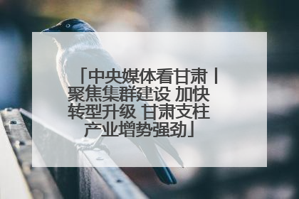 中央媒体看甘肃丨聚焦集群建设 加快转型升级 甘肃支柱产业增势强劲