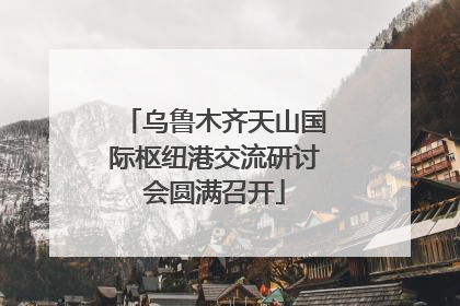 乌鲁木齐天山国际枢纽港交流研讨会圆满召开