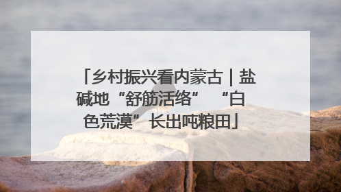 乡村振兴看内蒙古｜盐碱地“舒筋活络” “白色荒漠”长出吨粮田