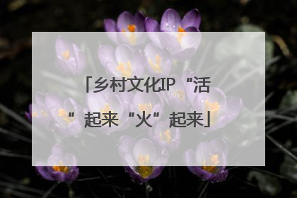 乡村文化IP“活”起来“火”起来