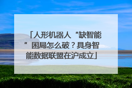 人形机器人“缺智能”困局怎么破？具身智能数据联盟在沪成立